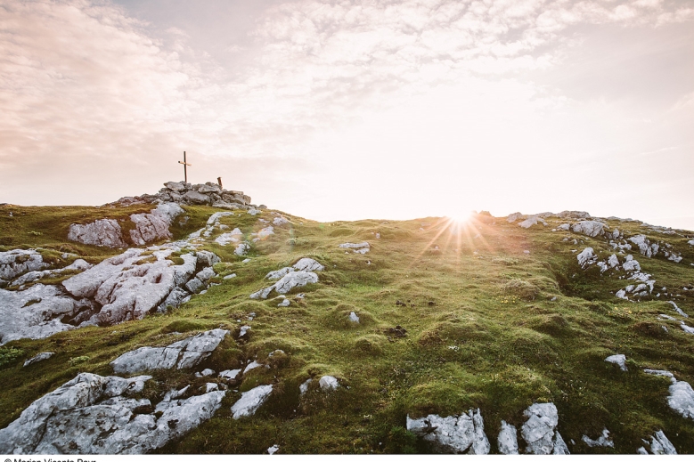 Hotel Trek Safari - King Dachstein Trail pro běžce